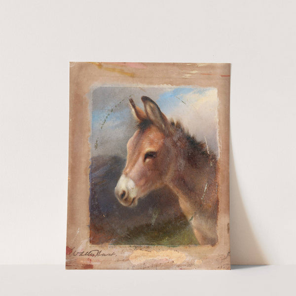 Head Study Of A Donkey by Walter Hunt