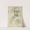 Heads and necks of two bulls in profile by Peter Paul Rubens