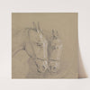 Heads and Necks of Two Horses Wearing Bridles, Right Profiles by Henry Thomas Alken