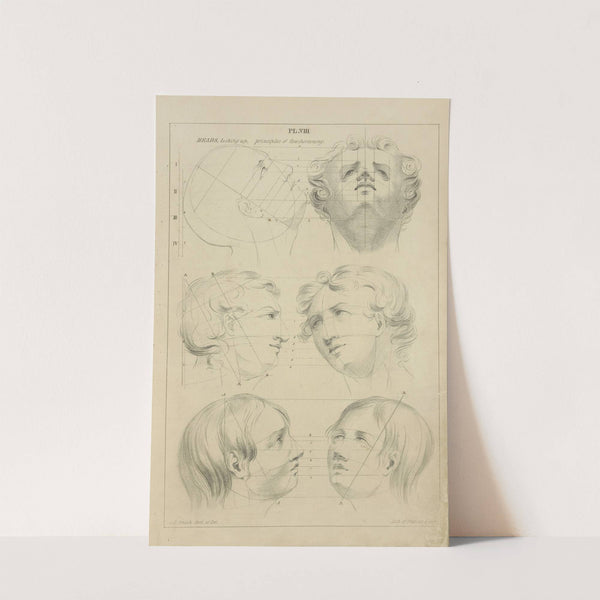 Heads looking up - principles of foreshortening by John Rubens Smith