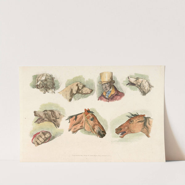 Heads of dogs, horses and of a man (1817-1818) by Henry Thomas Alken