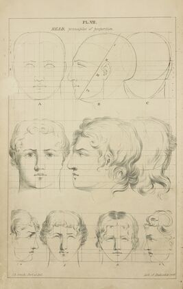 Heads – principles of proportion