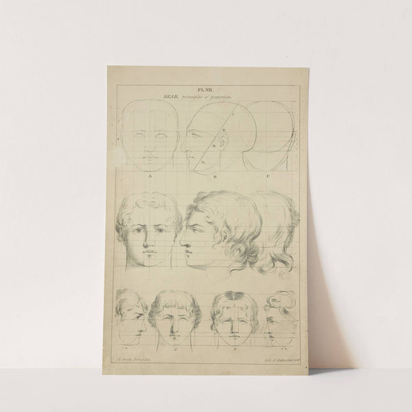 Heads - principles of proportion by John Rubens Smith