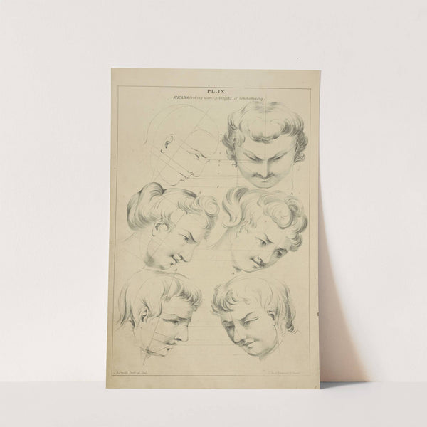 Heads - showing character by variation from a given rule by John Rubens Smith