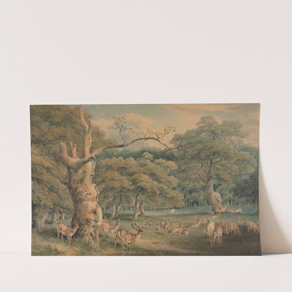 Hearne's Oak, Windsor Forest by Samuel Howitt