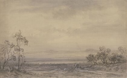 Heath landscape