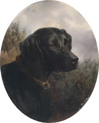 Hector (1871)