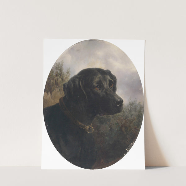 Hector (1871) by Carl Reichert