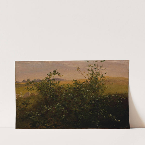 Hedge with blackberry (1846) by Carlo Dalgas