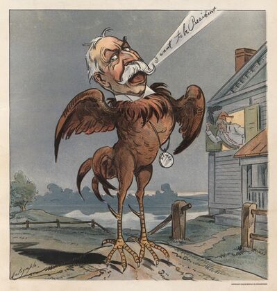 The cock that crowed too soon