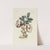 Hellebore by Carington Bowles