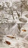Hemipteres Pl. XVII