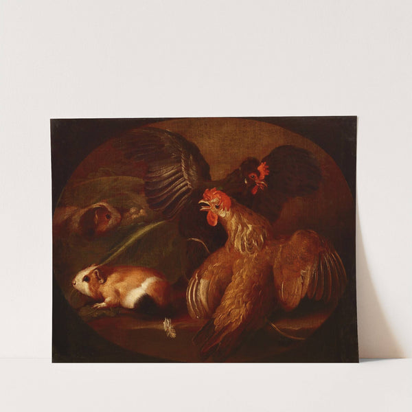 Hens and Guinea Pigs by Giovanni Agostino Cassana