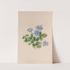 Hepatica by John Stevens Henslow