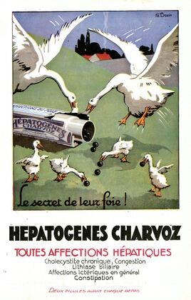 Hépatogènes Charvoz (1910-1950)