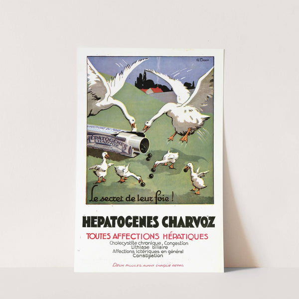 Hépatogènes Charvoz (1910-1950) by A. Bazin