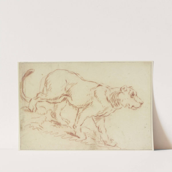 Herabschreitende Löwin nach rechts by Johann Melchior Roos