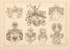 Heraldischer Atlas Pl.33 (1899)