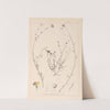 Herbier de la flore française Pl.0013 by Louis Antoine Cusin