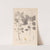 Herbier de la flore française Pl.0128 by Louis Antoine Cusin