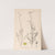Herbier de la flore française Pl.0135 by Louis Antoine Cusin