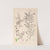 Herbier de la flore française Pl.0149 by Louis Antoine Cusin
