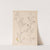 Herbier de la flore française Pl.0251 by Louis Antoine Cusin