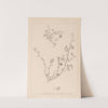 Herbier de la flore française Pl.0256 by Louis Antoine Cusin