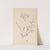 Herbier de la flore française Pl.0256 by Louis Antoine Cusin
