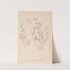 Herbier de la flore française Pl.0273 by Louis Antoine Cusin