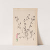 Herbier de la flore française Pl.0360 by Louis Antoine Cusin