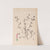 Herbier de la flore française Pl.0360 by Louis Antoine Cusin