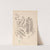 Herbier de la flore française Pl.0437 by Louis Antoine Cusin