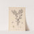 Herbier de la flore française Pl.0488 by Louis Antoine Cusin