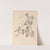 Herbier de la flore française Pl.0494 by Louis Antoine Cusin