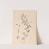 Herbier de la flore française Pl.0509 by Louis Antoine Cusin