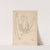 Herbier de la flore française Pl.0611 by Louis Antoine Cusin