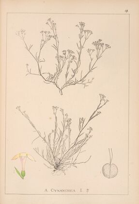 Herbier de la flore française Pl.0662