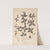 Herbier de la flore française Pl.0668 by Louis Antoine Cusin