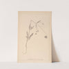 Herbier de la flore française Pl.0719 by Louis Antoine Cusin