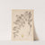 Herbier de la flore française Pl.0769 by Louis Antoine Cusin