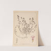 Herbier de la flore française Pl.0775 by Louis Antoine Cusin