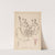 Herbier de la flore française Pl.0775 by Louis Antoine Cusin