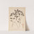 Herbier de la flore française Pl.0841 (1867-1876) by Louis Antoine Cusin