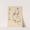 Herbier de la flore française Pl.0886 by Louis Antoine Cusin