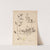 Herbier de la flore française Pl.0887 by Louis Antoine Cusin
