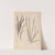 Herbier de la flore française Pl.1062 by Louis Antoine Cusin