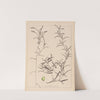 Herbier de la flore française Pl.1073 by Louis Antoine Cusin