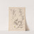 Herbier de la flore française Pl.1073 by Louis Antoine Cusin
