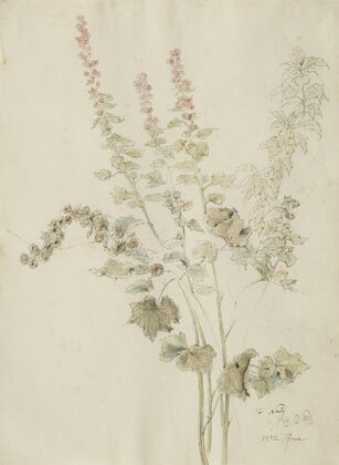 Herbstliche Malvenblüten (1832)